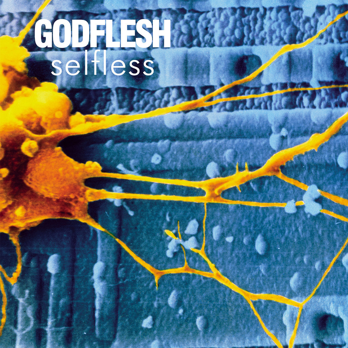 Godflesh "Selfless" Digital Download
