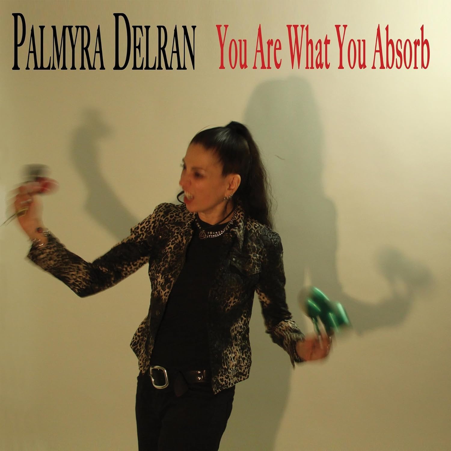Palmyra Delran "You Are What You Absorb" Vinyl - PRE-ORDER