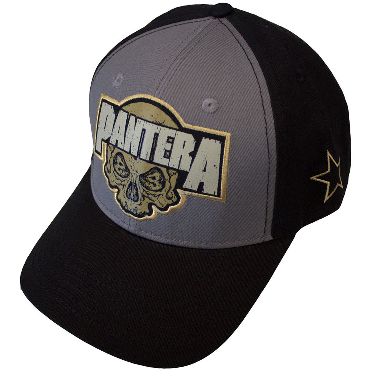 Pantera "Skull" Mesh Back Cap