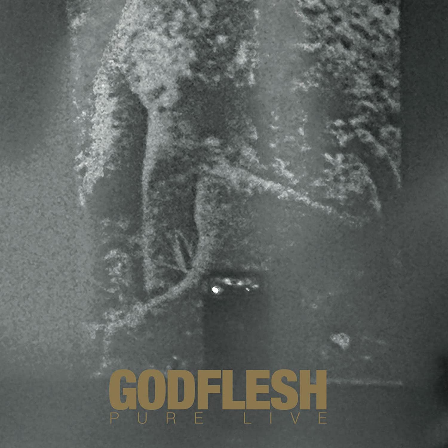 Godflesh "Pure: Live" 2x12" Gold w/ White Splatter Vinyl