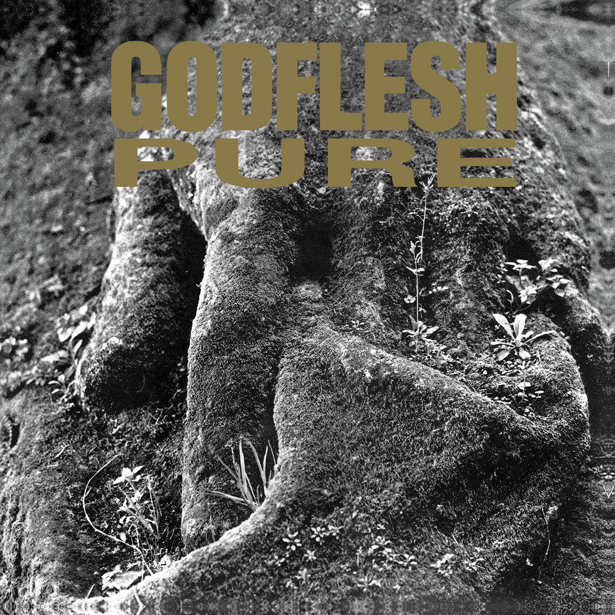 Godflesh "Pure" Black / White Pinwheel Vinyl