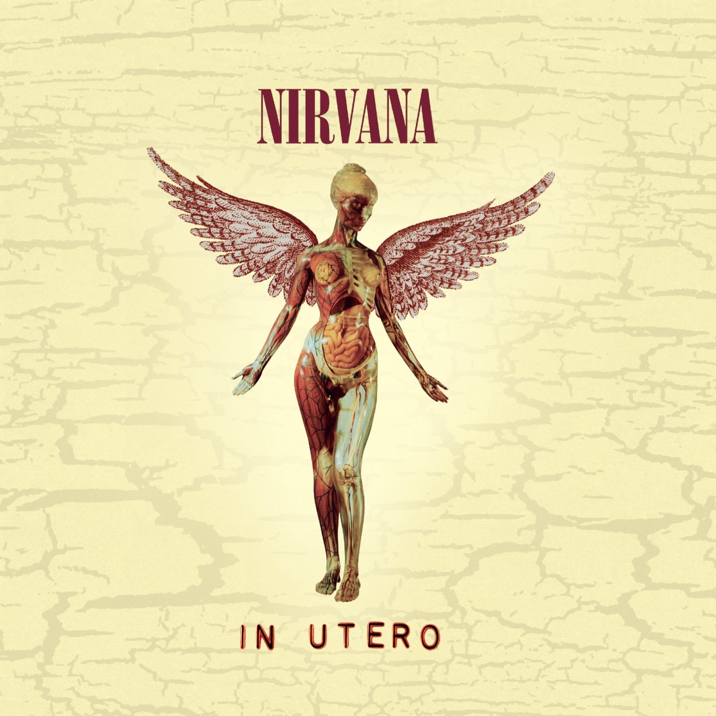 Nirvana "In Utero" Vinyl