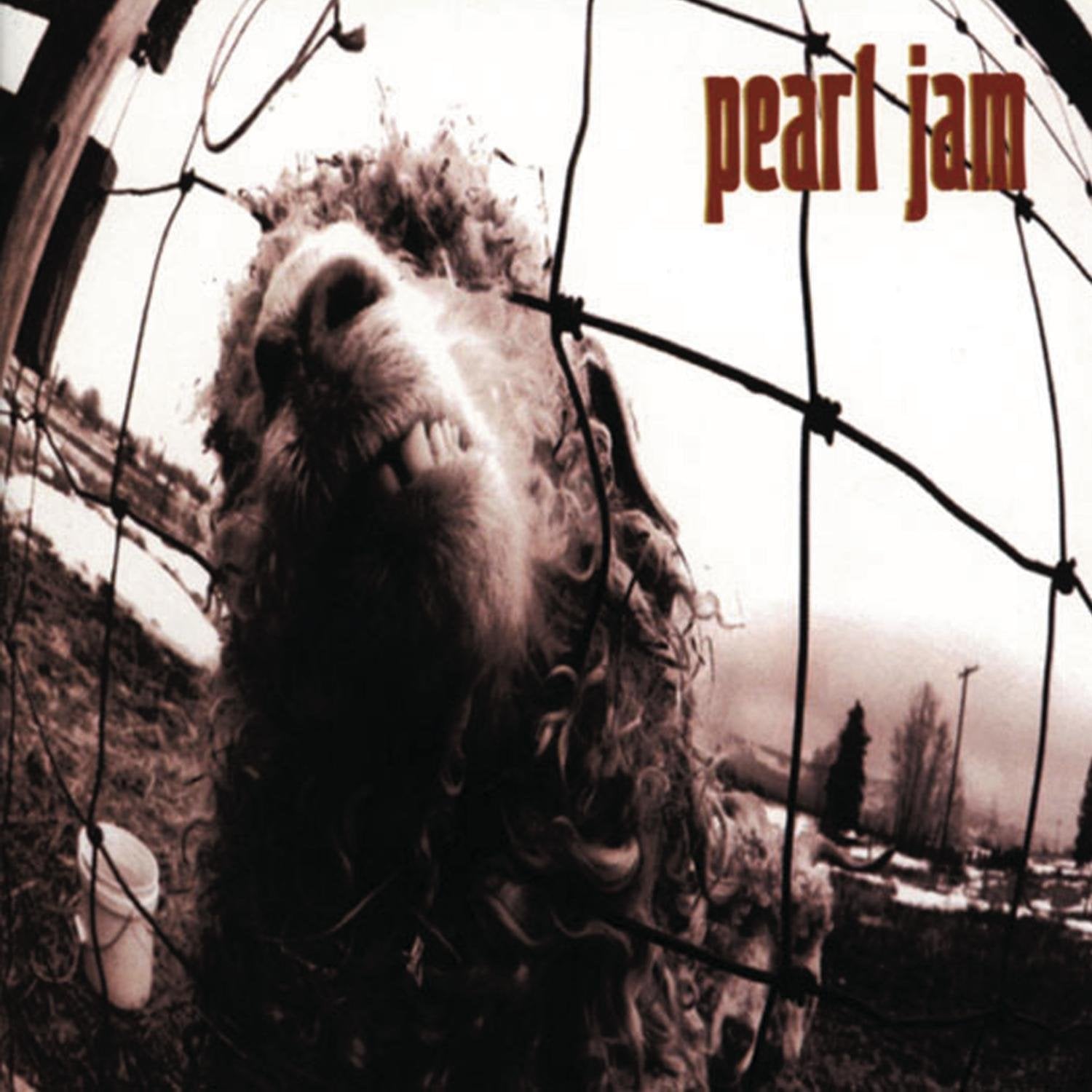 Pearl Jam "Vs" Gatefold 180g Vinyl